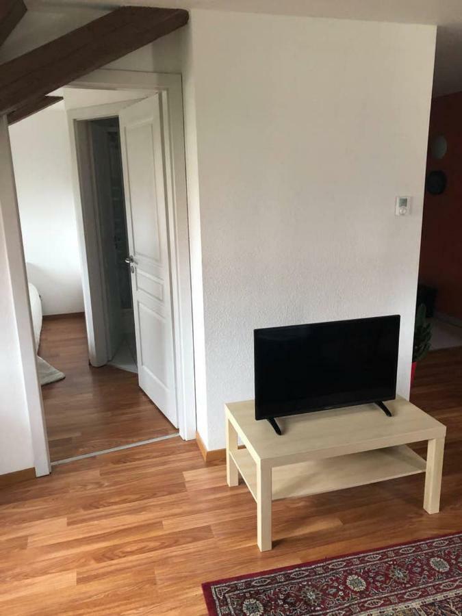 Appartement Avec Balcon Centre Ville Strasbourg Bagian luar foto