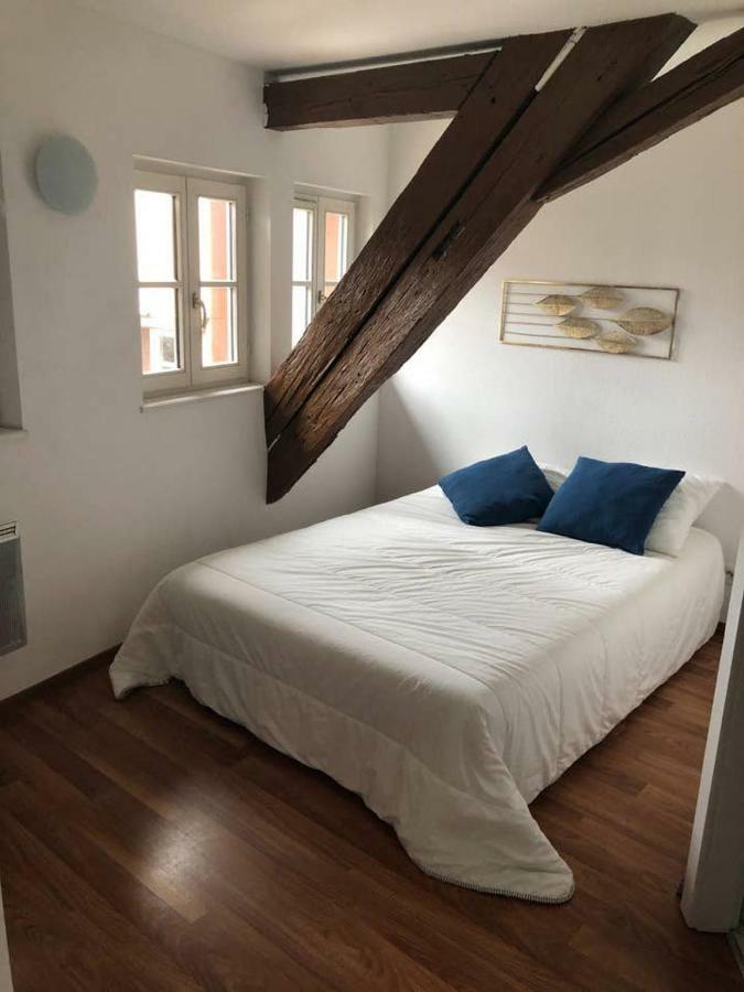 Appartement Avec Balcon Centre Ville Strasbourg Bagian luar foto