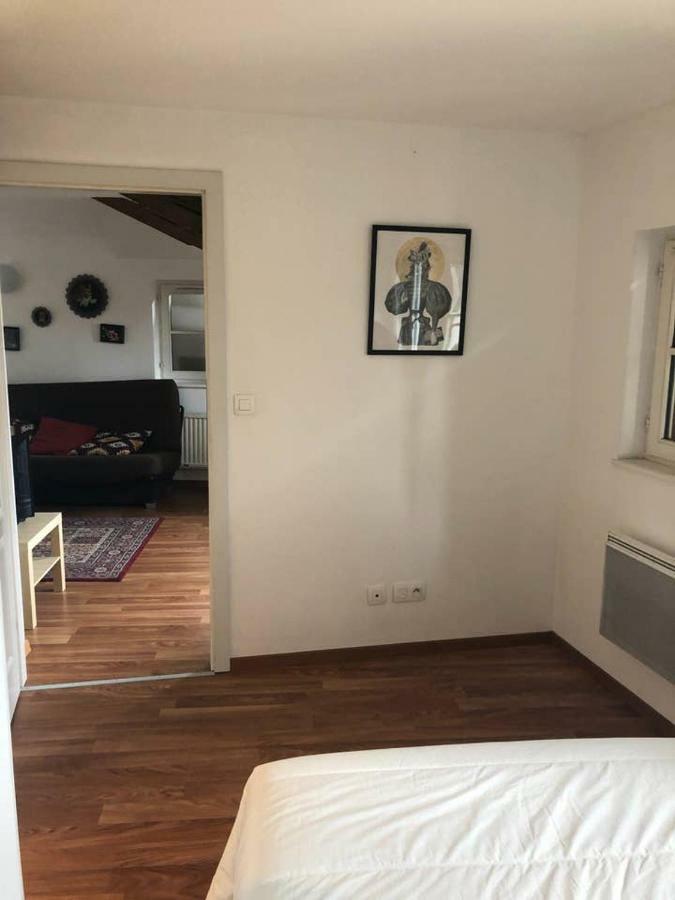 Appartement Avec Balcon Centre Ville Strasbourg Bagian luar foto